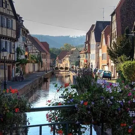 Ferienwohnung Suedpfalz Am Elsass Lejlighed *