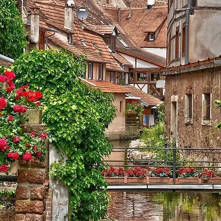 Ferienwohnung Suedpfalz Am Elsass Lejlighed